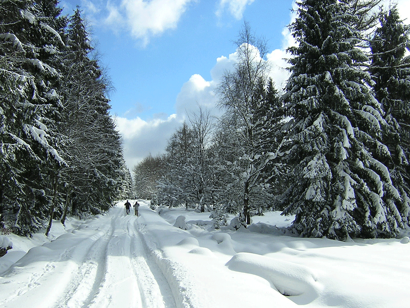 promenade neige